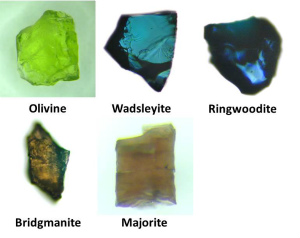 Deep mantle minerals (wadsleyite, ringwoodite, bridgmanite and majorite) synthesized with a Kawai-type multianvil apparatus and natural olivine
